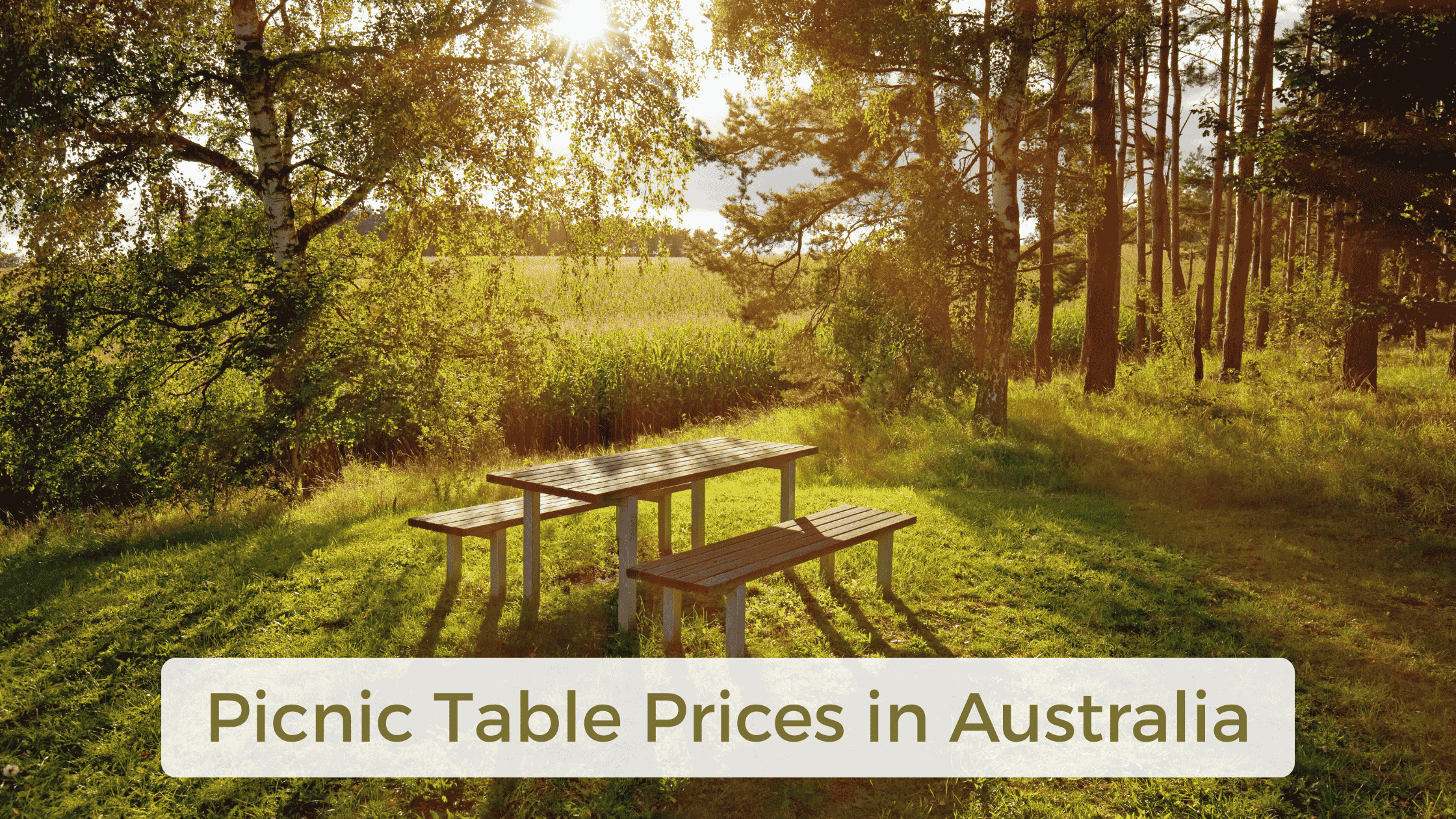 Picnic Table Prices in Australia